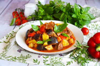 Vegetable stew with beef and potatoes