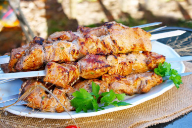 Pork kebab on kefir