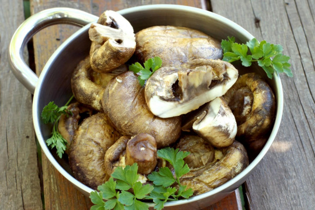 Champignons on a grill on coals