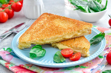 Cheese sandwich