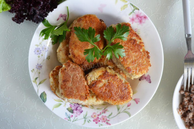 Fish cutlets from river fish