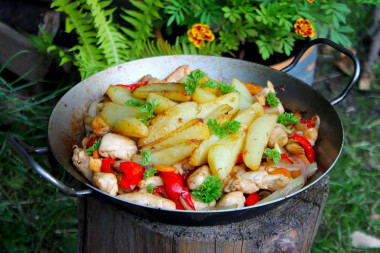 Chicken with vegetables in a frying pan over a campfire