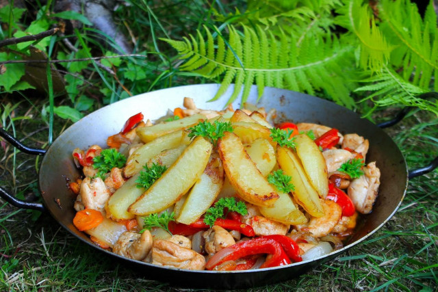 Chicken with vegetables in a frying pan over a campfire