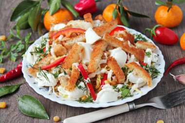 Jealous salad with mozzarella, crackers and tangerines