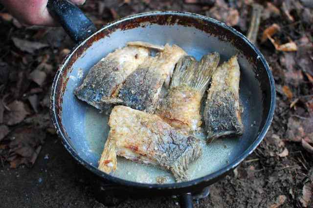 Burbot fried in oil