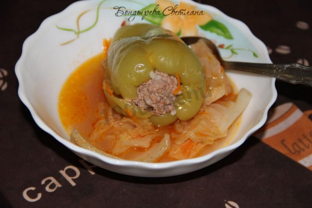 Stuffed pepper with rice, minced meat and cabbage