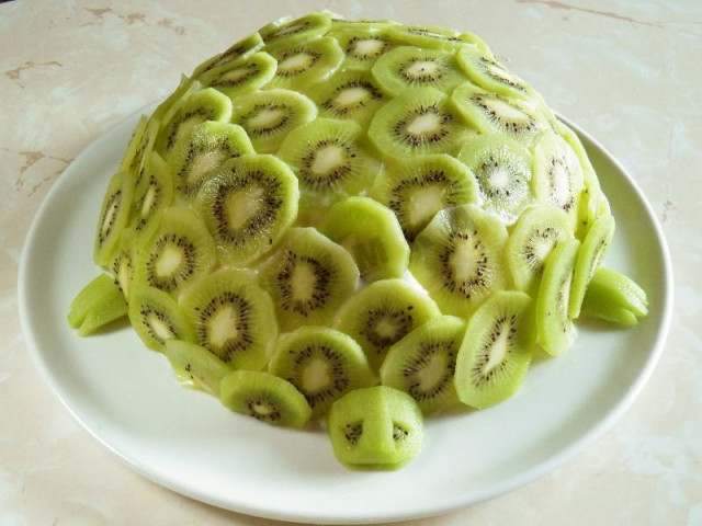 Emerald Turtle cake in a frying pan