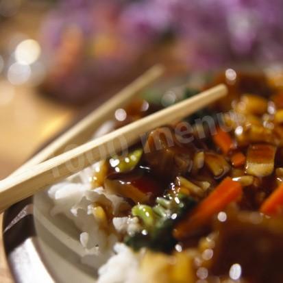 Teriyaki chicken with chili, garlic, green onions and rice