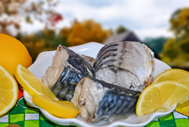 Boiled mackerel is fast and delicious