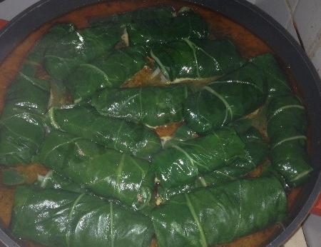 Chard cabbage rolls