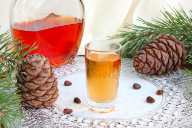 Tincture on pine nuts with vodka