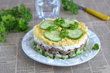 Tuna cucumber egg salad