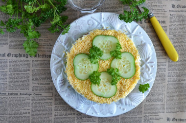 Tuna cucumber egg salad