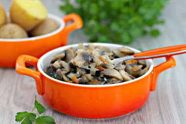 Mushrooms stewed in sour cream in a slow cooker