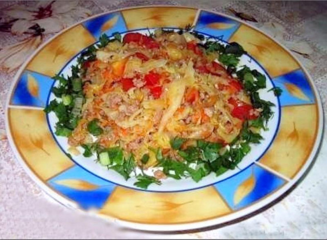 Stewed cabbage with minced meat in a frying pan