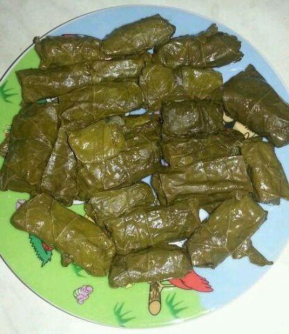 Dolma of fresh grape leaves