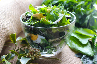 Sorrel egg and cucumber salad