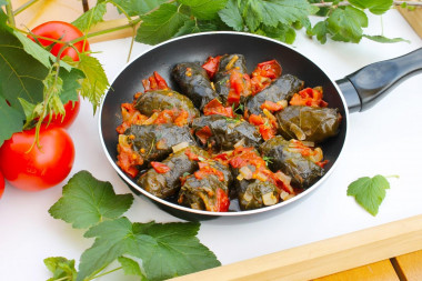 Dolma with tomato sauce