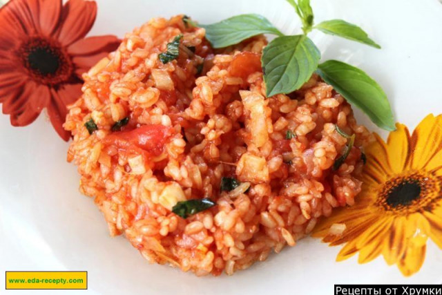 Tomato risotto