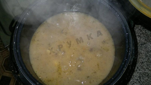 Stewed potatoes with light and mushrooms in a slow cooker