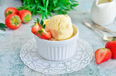 Homemade cream ice cream