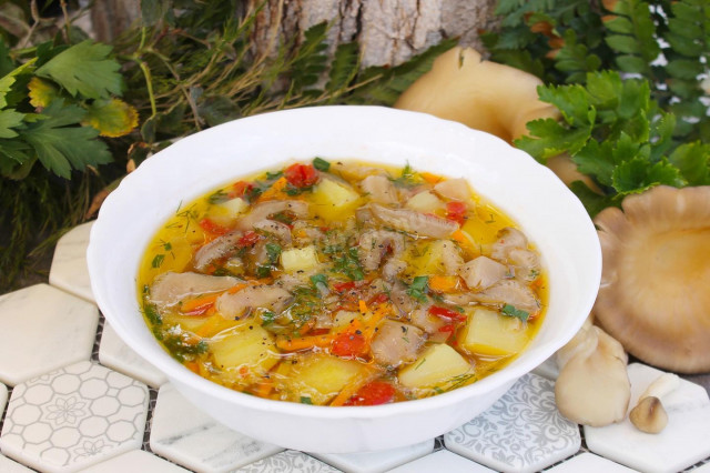 Mushroom soup from oyster mushrooms