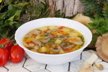 Mushroom soup from oyster mushrooms