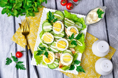 Salad with chicken cucumber and egg