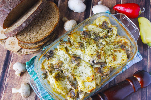 Mushrooms in sour cream with potatoes