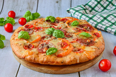 Pizza with mozzarella and tomatoes