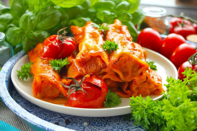 Tomato cannelloni