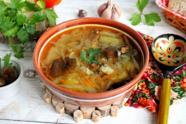 Cabbage soup with mushrooms and fresh cabbage