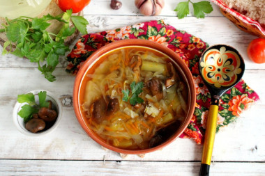 Cabbage soup with mushrooms and fresh cabbage