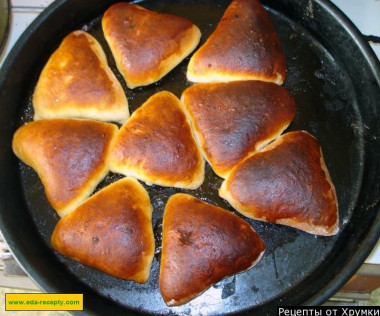 Kefir pies in the oven with different fillings