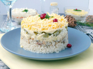 Salad with rice and canned fish layered