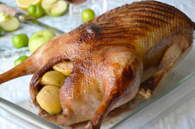 Baked goose with apples and cherry plum in the oven