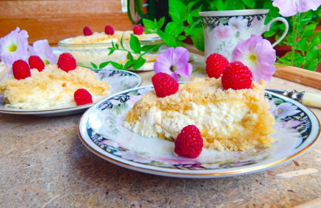 Cottage cheese pie with shortbread baby