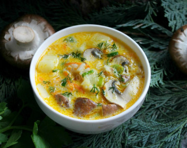 Cheese soup with mushrooms