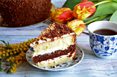 Soviet Day and Night cake with sour cream