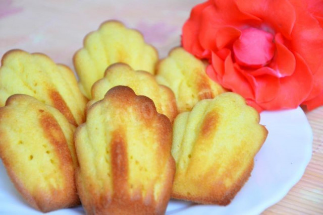 French Madeleine cookies