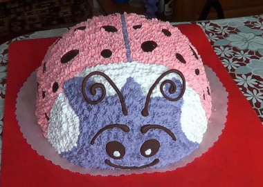 Ladybug Cake