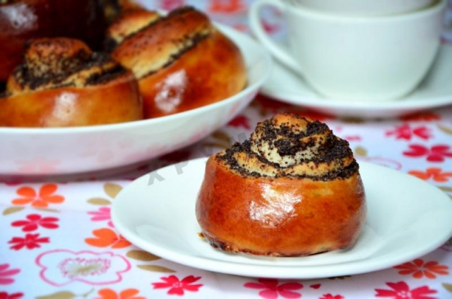 buns with poppy seeds from yeast dough