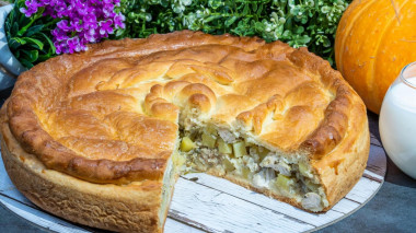 Chicken and potato pie on kefir