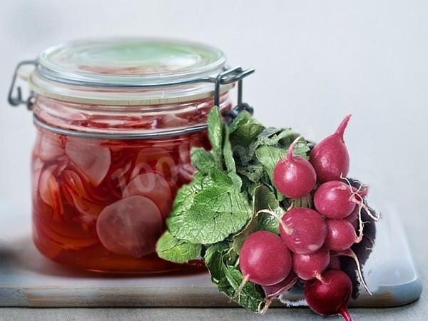 Harvesting radishes for winter