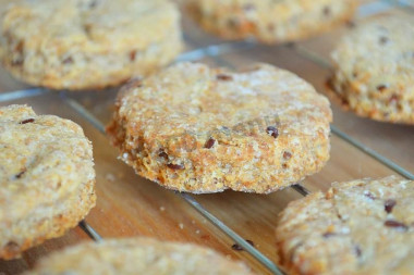 Ducan oatmeal cookies