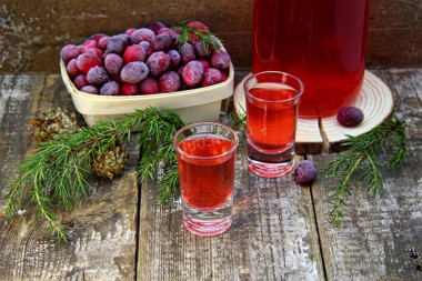 Cranberry tincture on moonshine