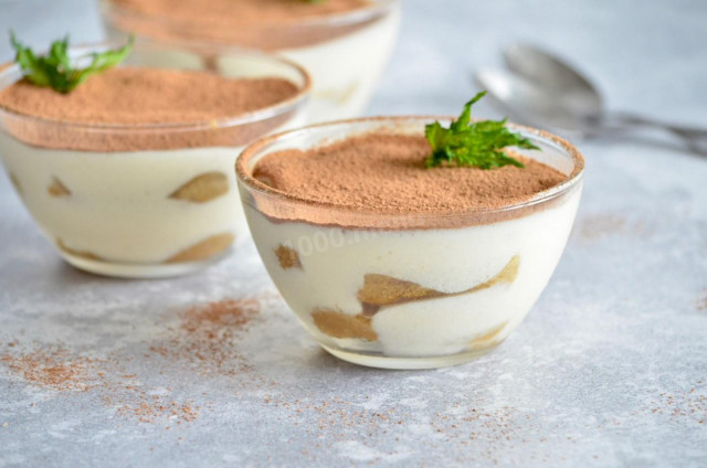 Tiramisu without mascarpone