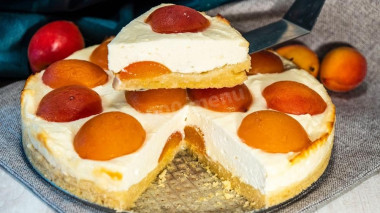 Shortbread pie with apricots and cottage cheese