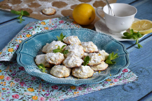 Coconut cookies with lemon on proteins