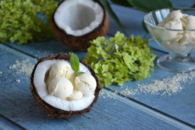 Homemade coconut milk ice cream